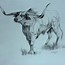 Image result for Texas Longhorn Drawing