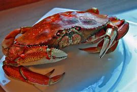 Image result for Alaskan Kng Crab