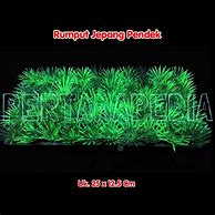 Image result for Rumput Plastik