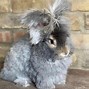 Image result for Fluffy Rabbit