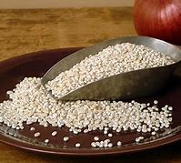 Image result for Pearl Barley