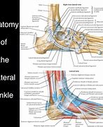 Image result for Area Distal to Lateral Malleolus