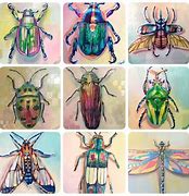 Image result for Insect Process Art