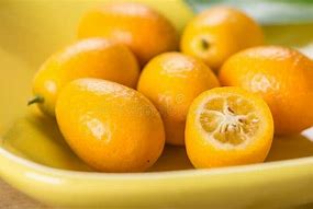 Image result for Kumquat Citrus Fruit Tree