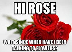 Image result for Rose Vega Meme