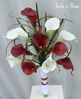 Image result for Red Calla Lily Bouquet