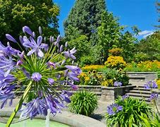 Image result for Lake Constance Mainau