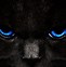 Image result for Cat Eyes Background