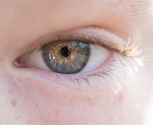 Image result for Eye Glimpse Photography