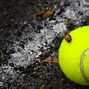 Image result for Tennis Court Ying Lin D