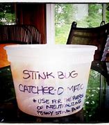 Image result for Stink Bug Catcher