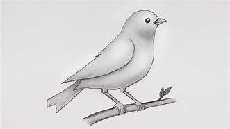 Image result for Pencil Bird Drawings Simple