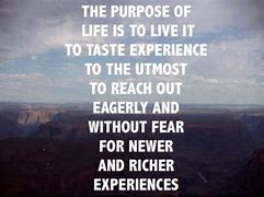 Image result for Life without Purpose Quote