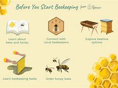 Image result for Beekeeping for Beginners