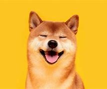 Image result for Renagade Doge