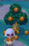 Image result for Animalcrossing Orange