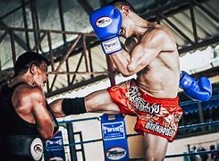 Image result for Tiger Muay Thai Swinton