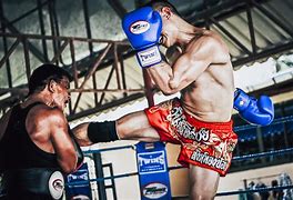 Image result for Tiger Muay Thai Tops