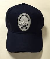 Image result for LAPD Hat On Officer