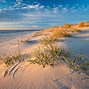 Image result for Beaches along Jersey Shore