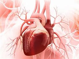 Image result for Heart Disease Photos