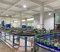 Image result for Carton Conveyor System