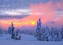 Image result for Tundra Desktop Wallpaper