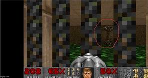 Image result for Doom Wall Texture