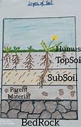 Image result for Soil Layers Drawing