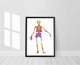 Image result for Osteon Anatomy Poster