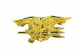 Image result for Navy SEAL Team Insignias