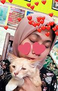 Image result for Muka Kucing Sedih Meme