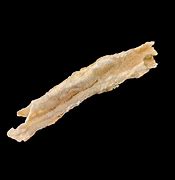 Image result for Fulgurite