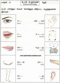 Image result for Grade 5 Tamil Worksheet