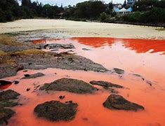 Image result for Red Water in Sydney