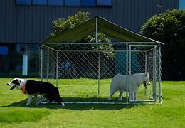 Image result for Outdoor Kennel