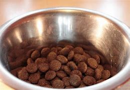 Image result for Hypoallergenic Dog Food