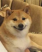 Image result for Happy Doggo Thailand