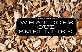 Image result for Oud Smell