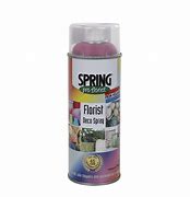 Image result for Flower Spray