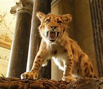 Image result for Sabertooth Tiger Prey