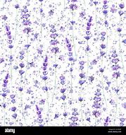 Image result for Lavender Purple