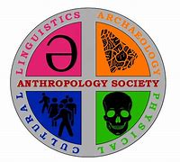 Image result for Anthropology Images