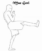 Image result for Front Kick by Mea Geri