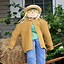 Image result for Garden Scarecrow Ideas