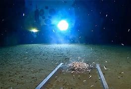 Image result for Mariana Trench From Space