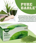 Image result for Parched Barley