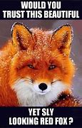 Image result for Car Fox Meme