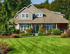 Image result for Yard Top View