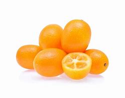 Image result for Kumquat Fruit White Background